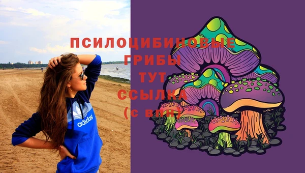 ECSTASY Михайловка